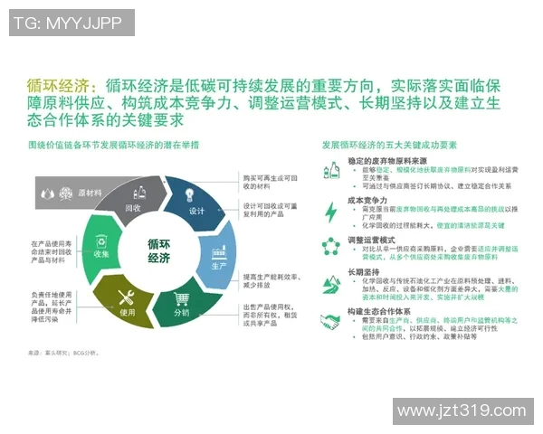 南京乒乓球队转型之路的挑战与机遇全景解析